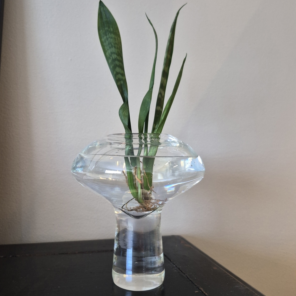 Mushroom Shaped Propogating Vase Home Decor